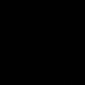 Meet your Posher, Levi